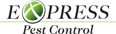 Express Pest Control